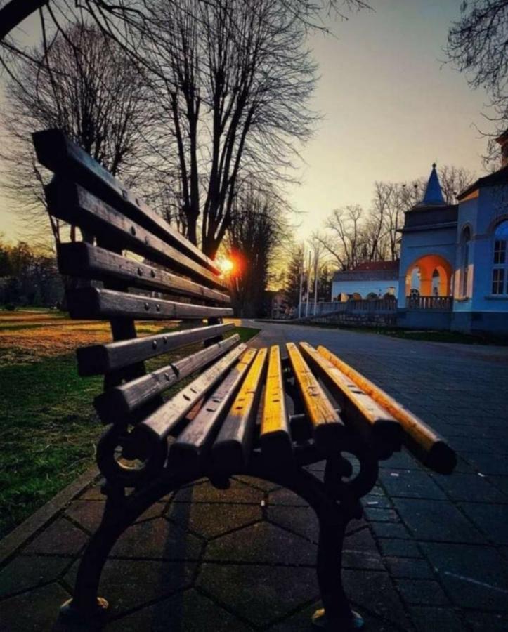 Apartman Moka Banja Koviljača Buitenkant foto
