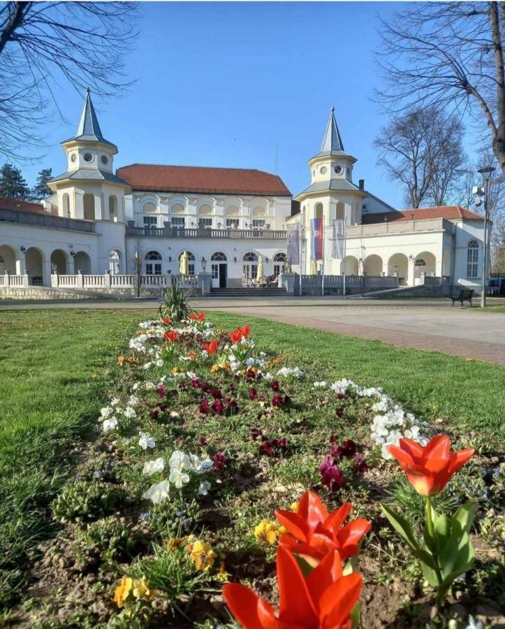 Apartman Moka Banja Koviljača Buitenkant foto